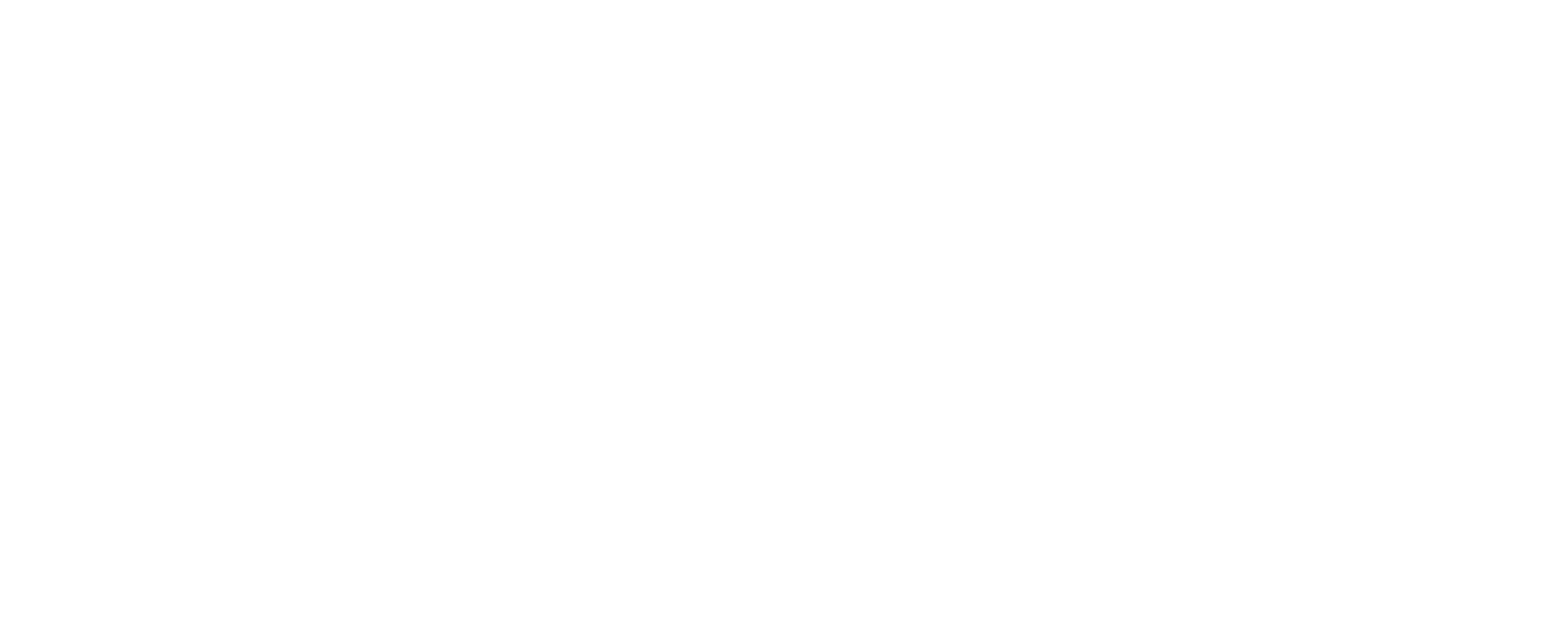 QVS GmbH